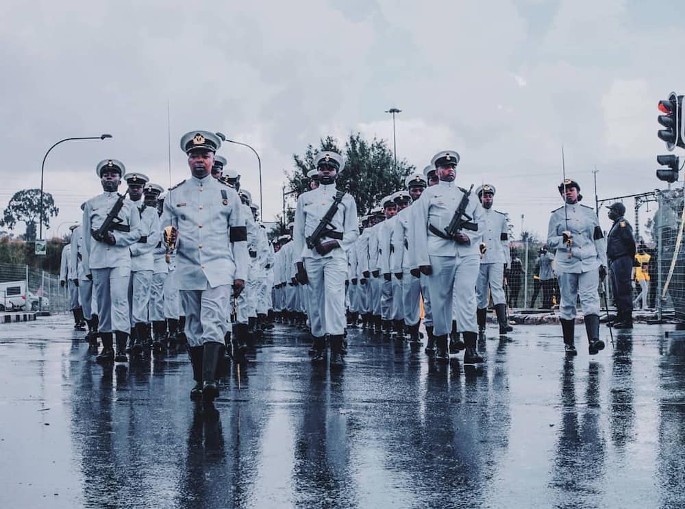 Sandf Navy Application Form (Full Guide)